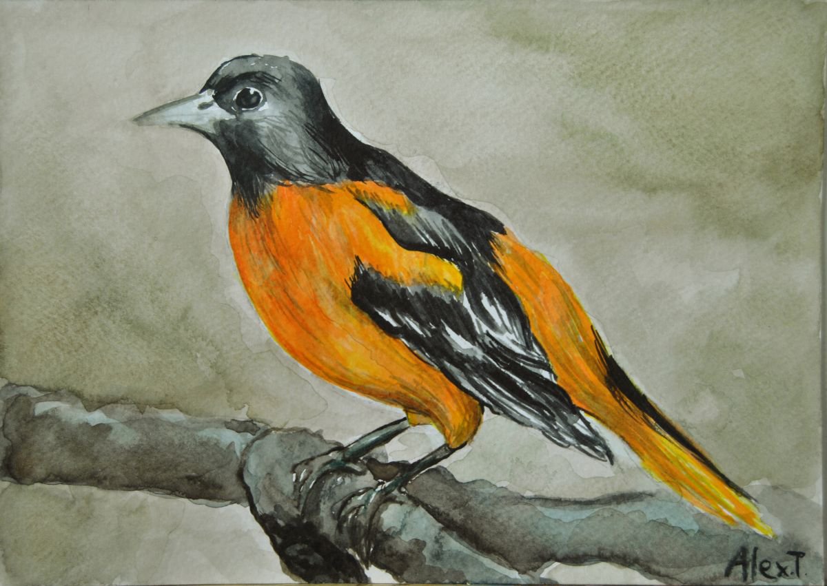 Orange Sparrow 2 by Aleksandra Tsvetkova
