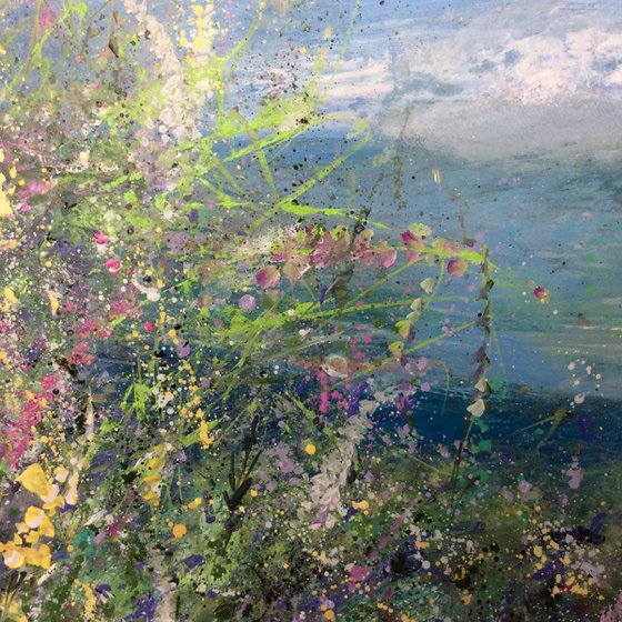 Heather on South Stack Anglesey
