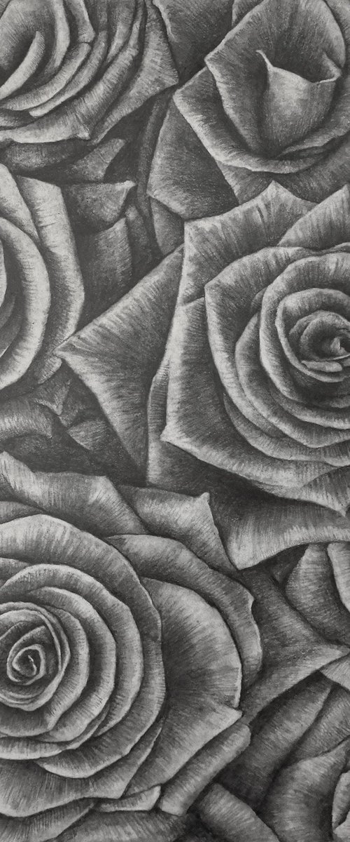 Roses. Sheet 02. Graphite Flowers Series by Sergei Skachkov