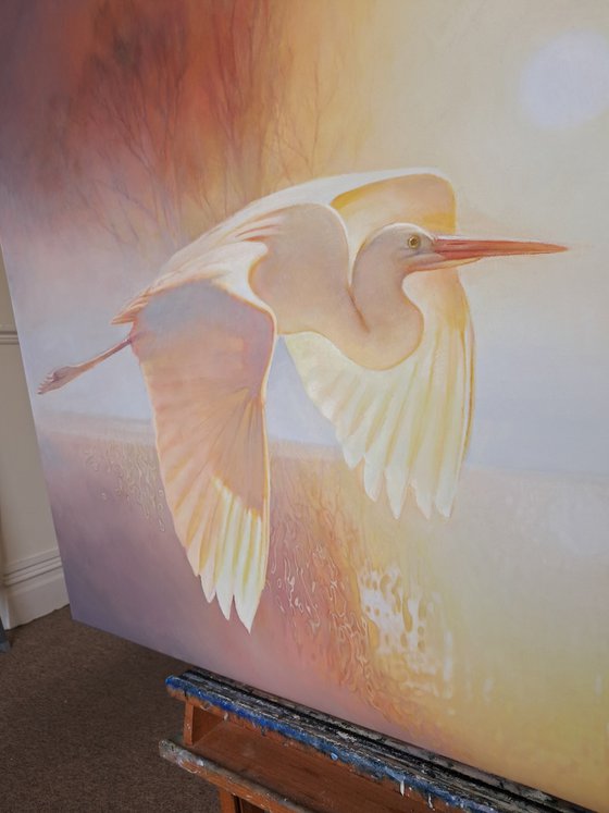 FLY INTO THE SUNRISE