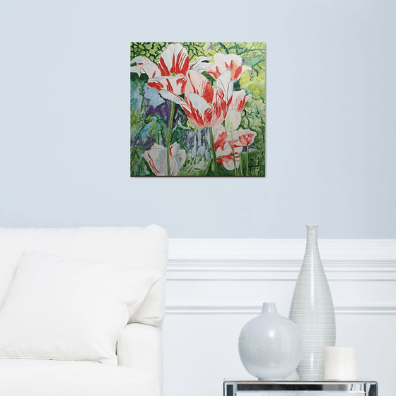 Tulips flowers