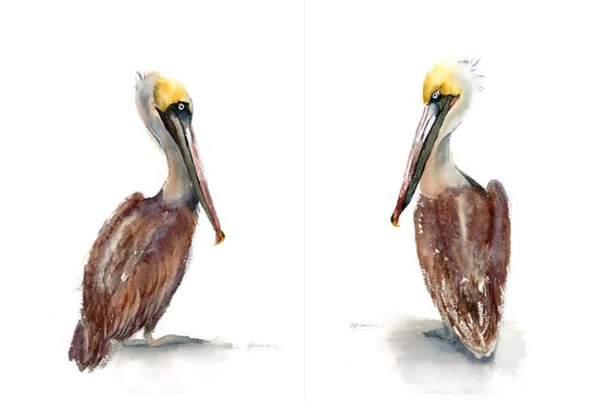 Brown Pelicans Set of 2