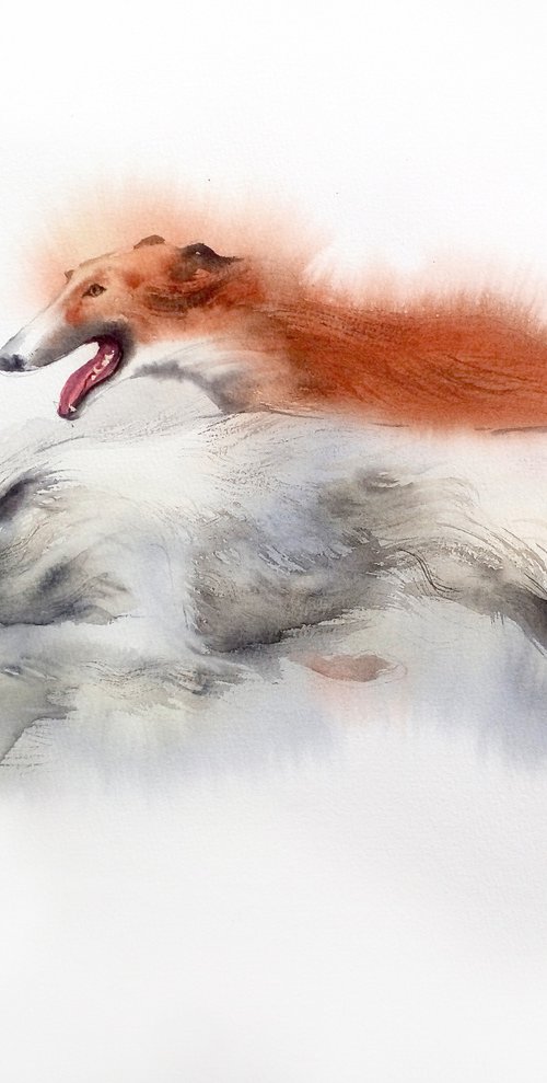 Borzoi - Russian wolfhound - d by Olga Beliaeva Watercolour