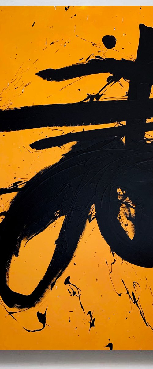 Black 69x by Rosi Roys