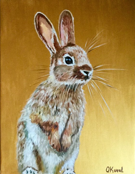 Honey bunny 5