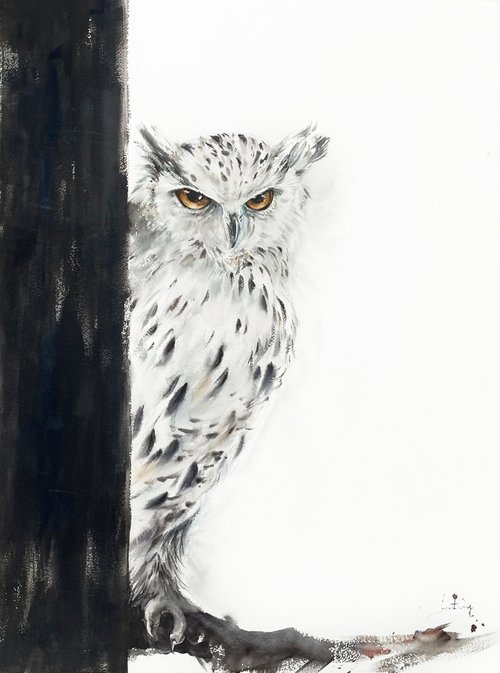 White Owl by Sophie Rodionov