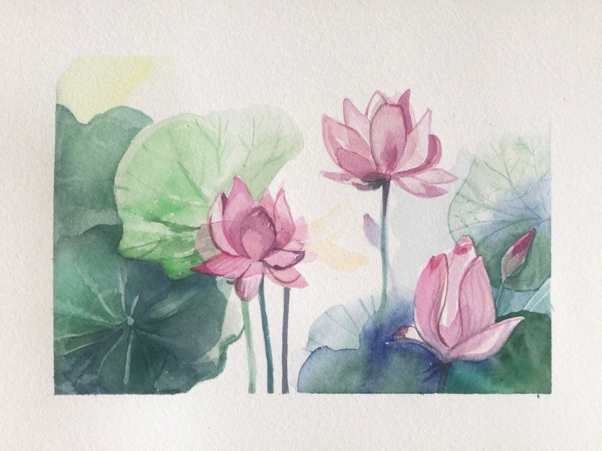 Water lilies#1 by Inna Katsev