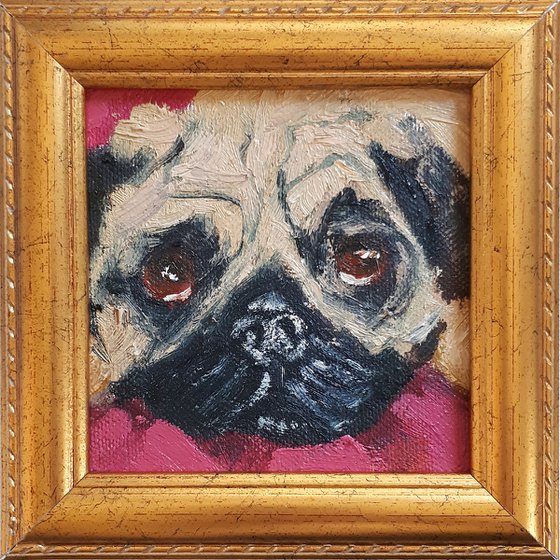 Dog 09.24 / framed  / FROM MY A SERIES OF MINI WORKS DOGS/ ORIGINAL PAINTING