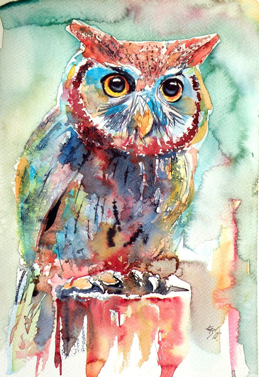 Impressionistic Watercolour , Colorful Owl Ii By Kovacs Anna Brigitta, 8 X 12, Artwork For Sale On Artfinder