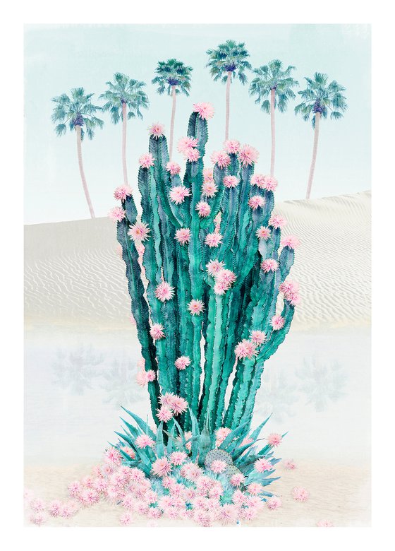 Cactus Oasis