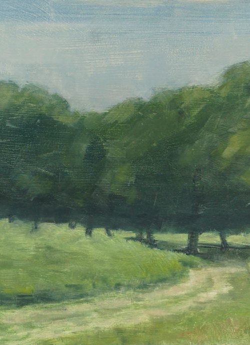 Richmond Park by Lizzie Butler
