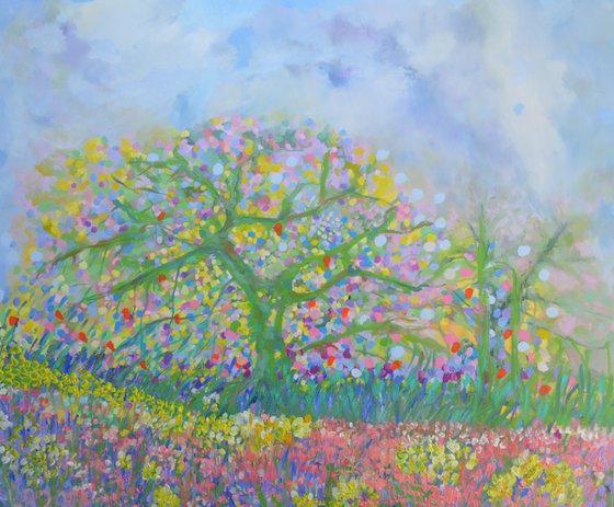 Cherry Blossom Trees 2026