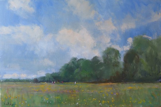 Midsummer Meadow