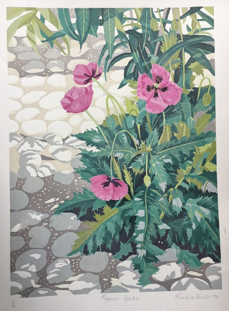 Botanical Linocut By Rosalind Forster, 15 X 19", Poppies Spetses, Original Artwork