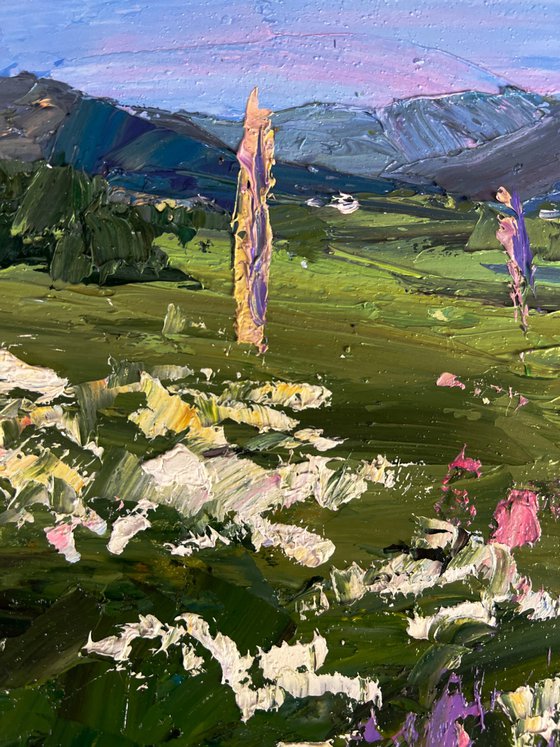 Flowering Mountain Fields