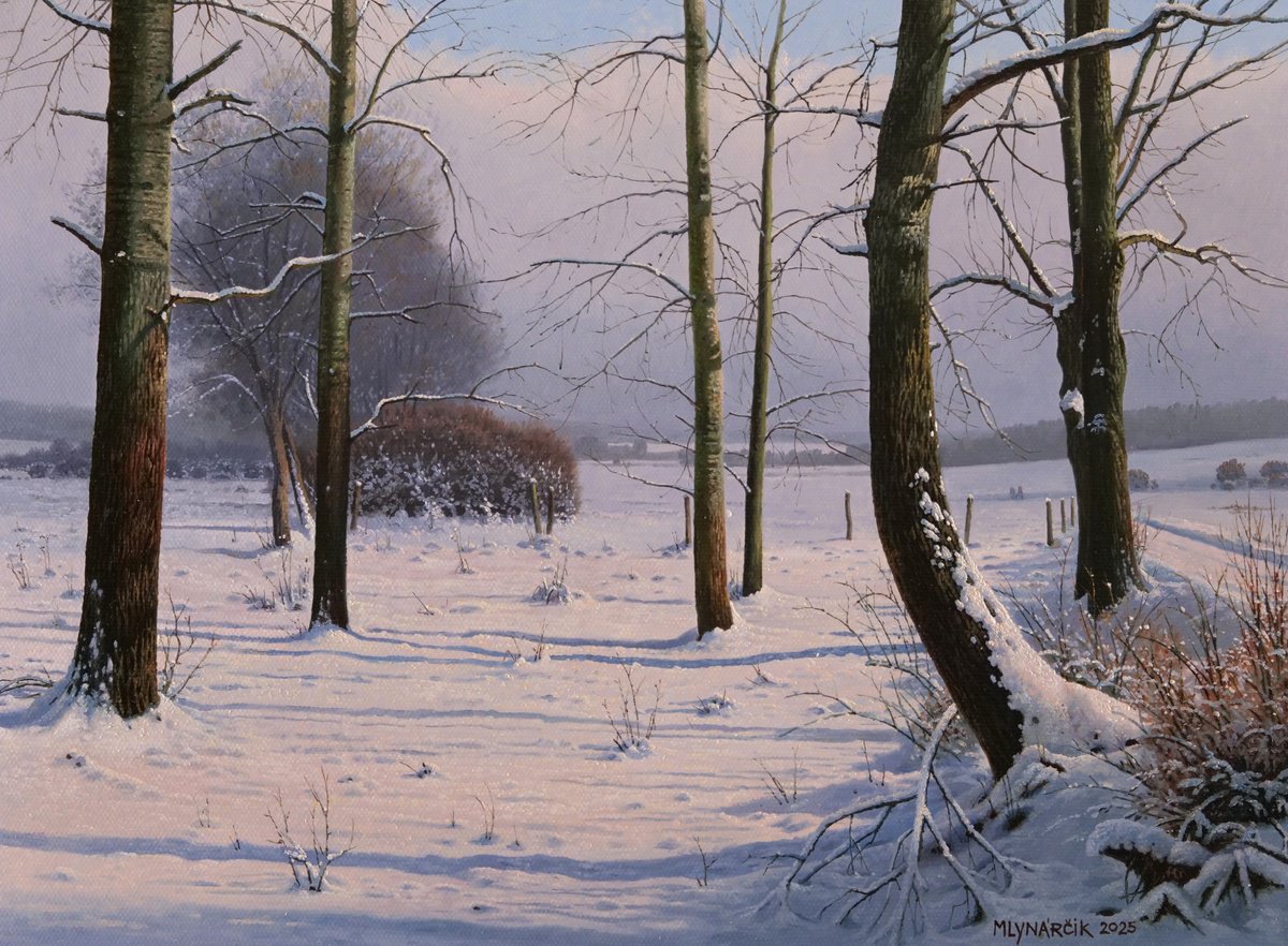 Photorealistic Oil Painting , Time Of Long Shadows By Mlynarcik Emil, 16 X 12, Artwork For Sale On Artfinder