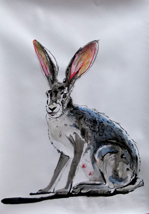 rabbit by Soso Kumsiashvili