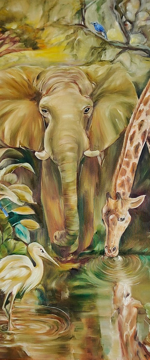 Safari by Olga Van Dine