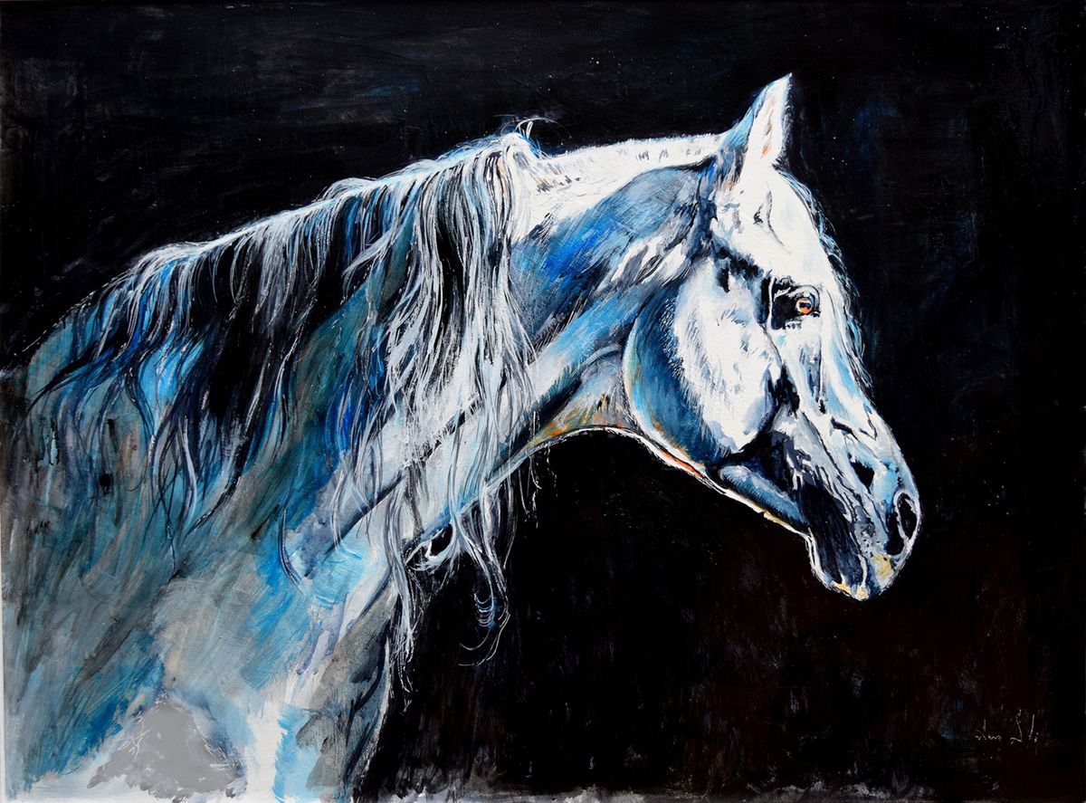 Contre-jour / Framed Horse Equine Art Modern Contemporary by Anna Sidi-Yacoub