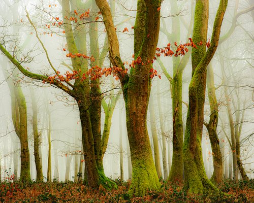 Sisters in the Mist by Nigel Hudson