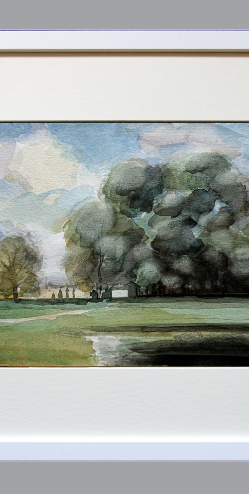 Dark Summer Trees by Elizabeth Anne Fox