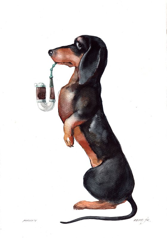 Dachshund with а Pipe