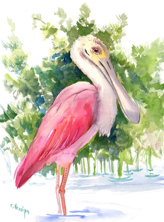 Roseate Spoonbill