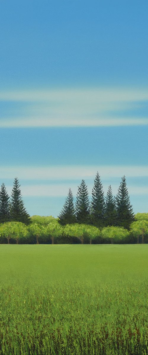 Tree Line - Blue Sky by Suzanne Vaughan