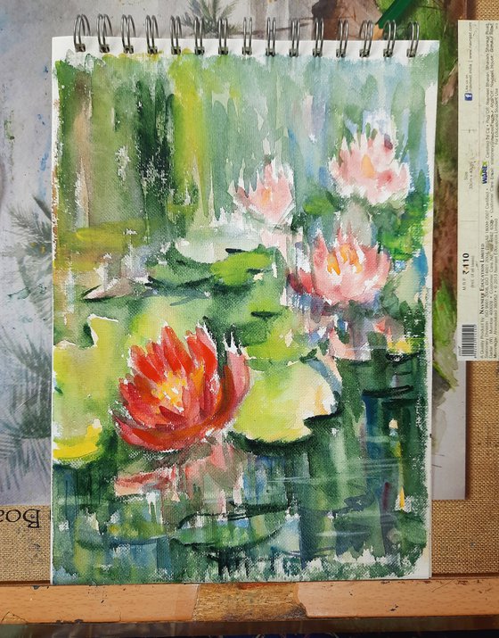 Red Lotus and Pink water lilies pond