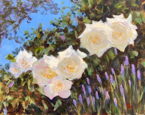 White roses and lavender II by Shelly Du