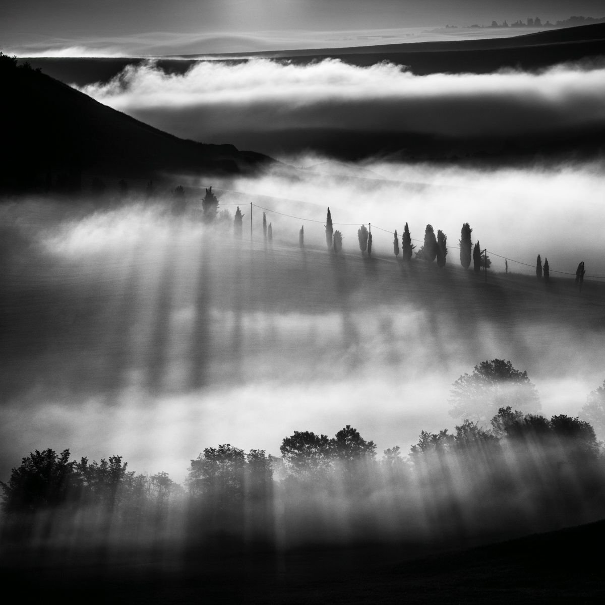 Misty Sunrise by Tomasz Grzyb