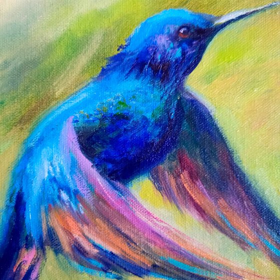 Hummingbird