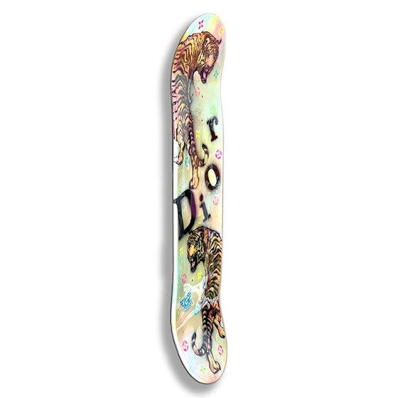 Dior Skateboard