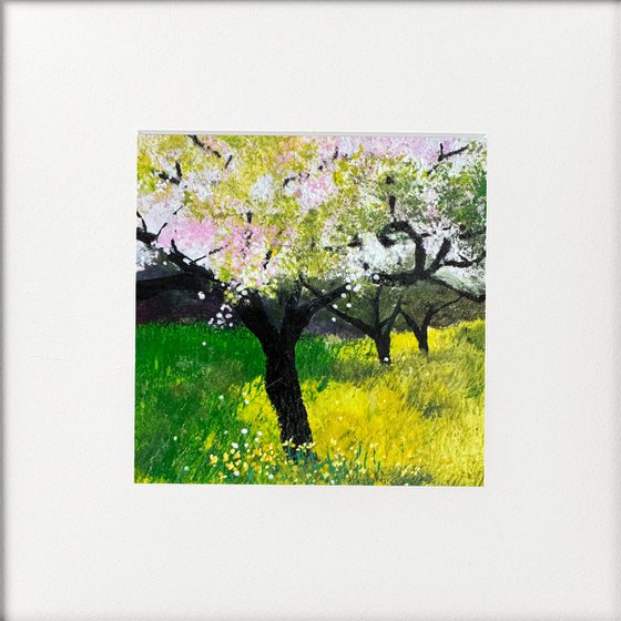 Daffodils in the orchard