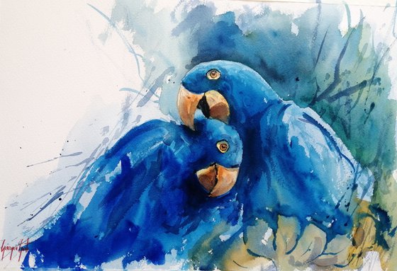 parrot 15