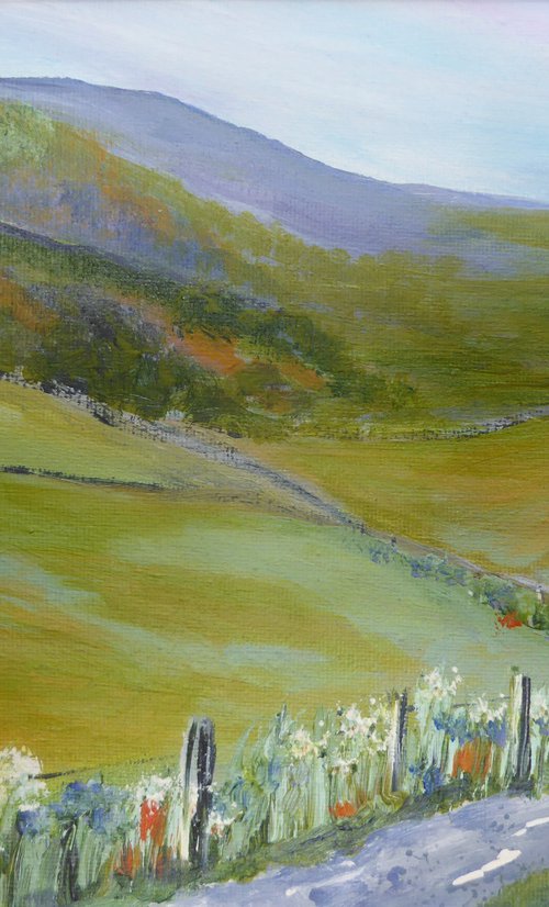 Towards Seathwaite by Elaine Allender