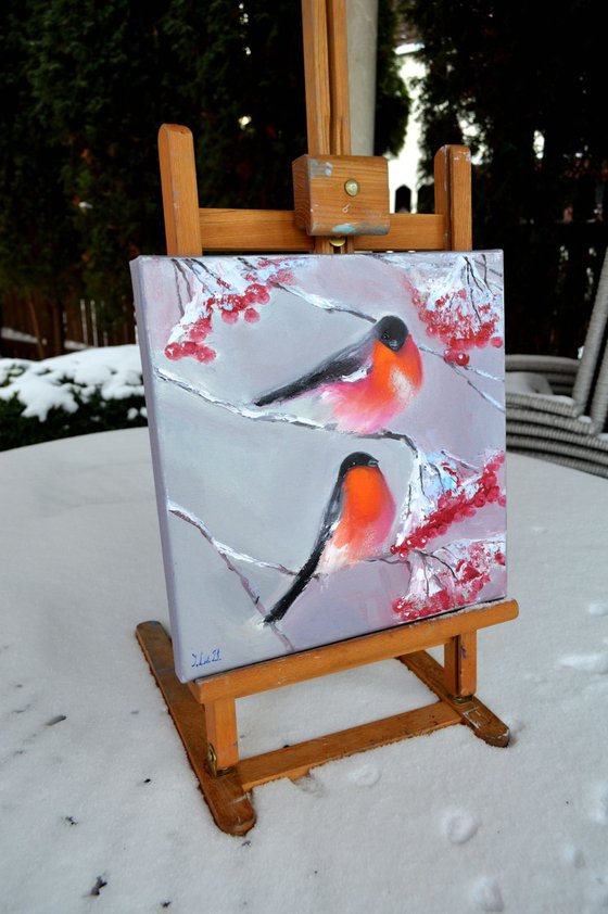 Bullfinches in winter