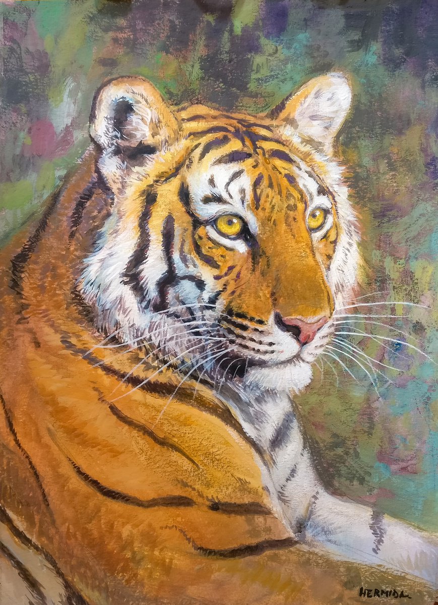Bengal tiger II by Gabriel Hermida