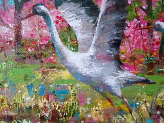 Storks on a Flower Meadow