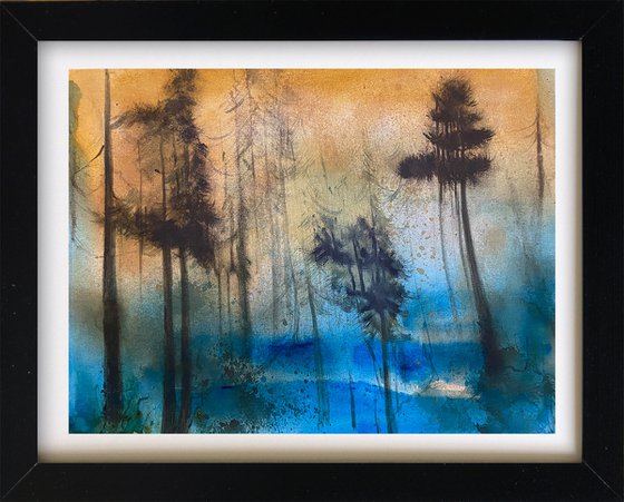 Misty Scots Pines