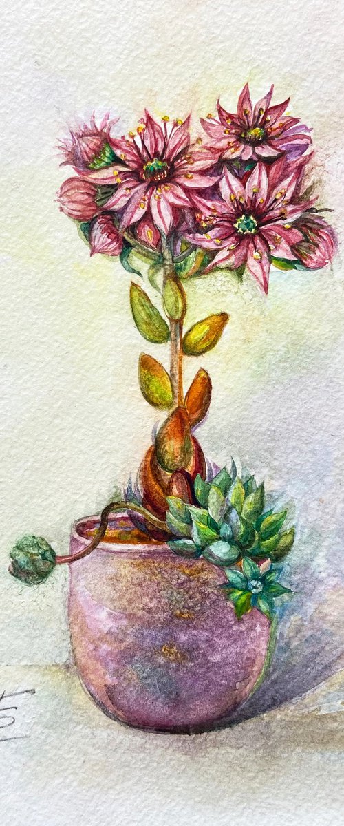 Houseplant by Elvira Sesenina