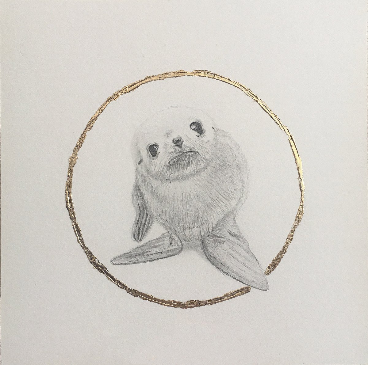 Seal drawing. by Amelia Taylor