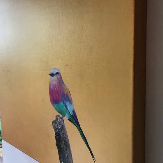 Lilac Breasted Roller