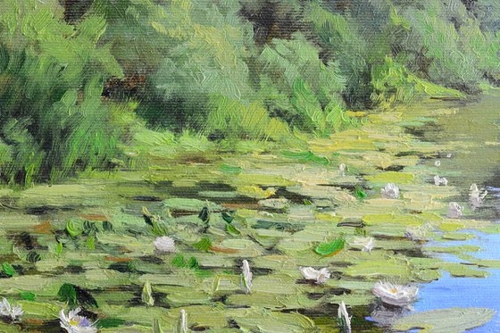 River lilies