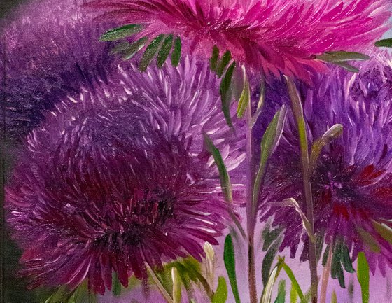 PURPLE ASTERS. Pink and purple flowers.