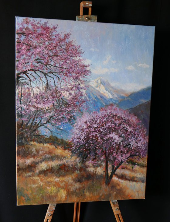 Almond Trees in Bloom
