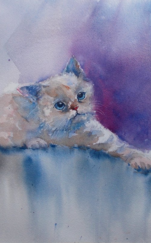 kitty 2 by Giorgio Gosti