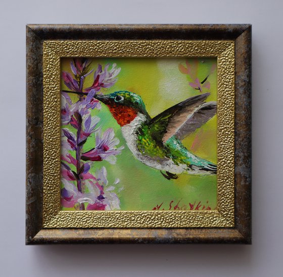 Hummingbird Painting Oil