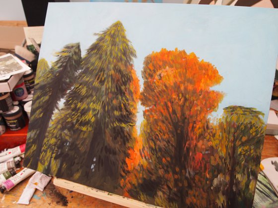 Autumn Trees