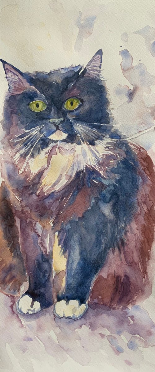 Sitting Cat by Mary Stubberfield